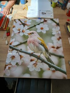 Photographie d'un oiseau dans un cerisier en fleurs